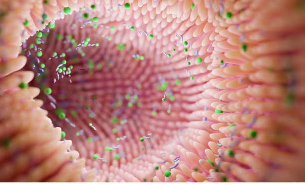diabetic retinopathy