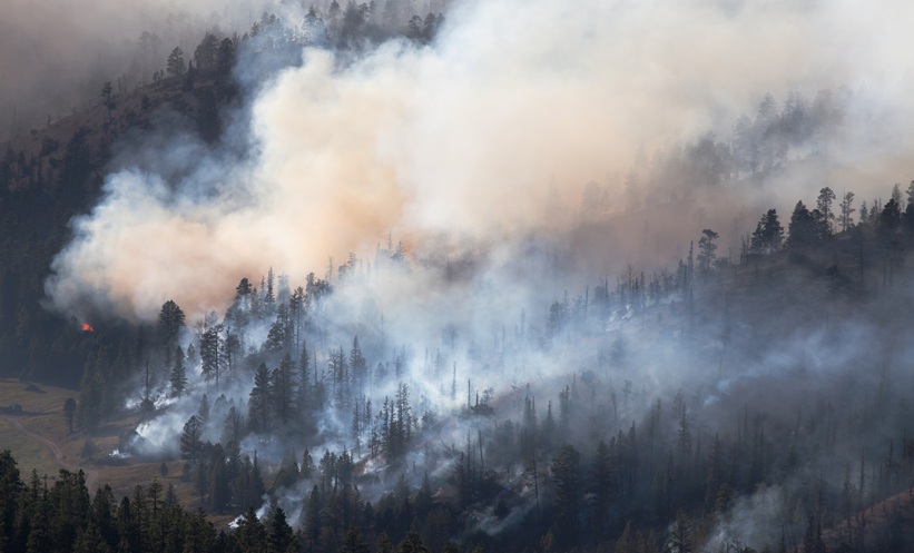 Wildfire Smoke PM2.5 Linked to Thousands of Deaths - EMJ