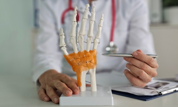 “Clinician holding hand skeleton model highlighting carpal bones including the scaphoid”