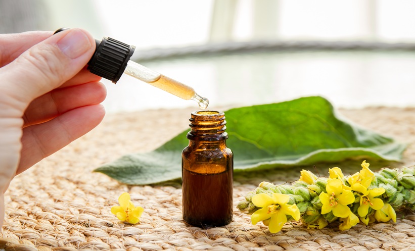 Pyrolysis-derived Mullein Leaf extract tested for antibacterial activity against resistant bacteria on agar plates