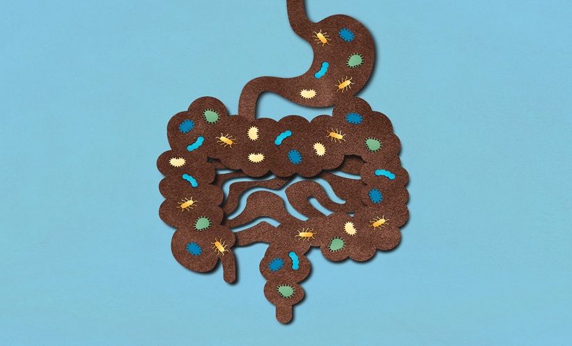 Faecal Microbiota Transplantation Improves Outcomes in Depression - EMJ