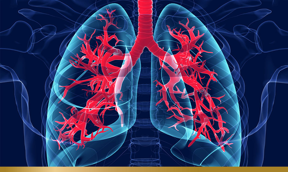 AI could unlock new cystic fibrosis protein target - EMJ GOLD
