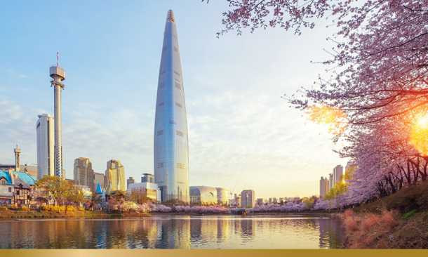 Sakura or cherry blossom park in seoul city