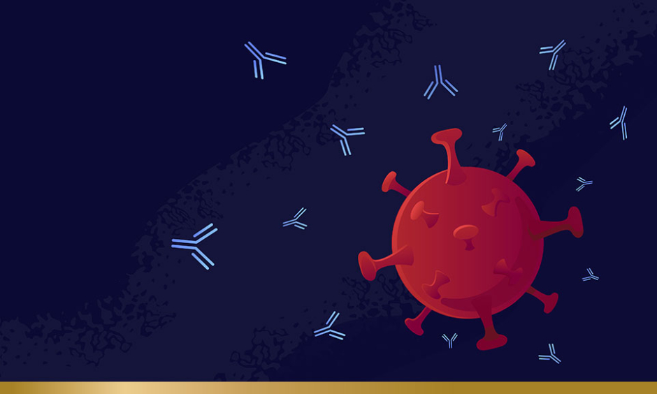 Antibody attacking an organism