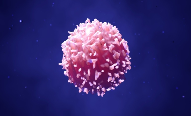 tumour reactive T cells