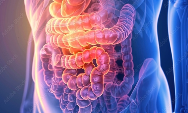 Paediatric Bowel Disease Incidence Rises Nearly 300% in Recent Decades