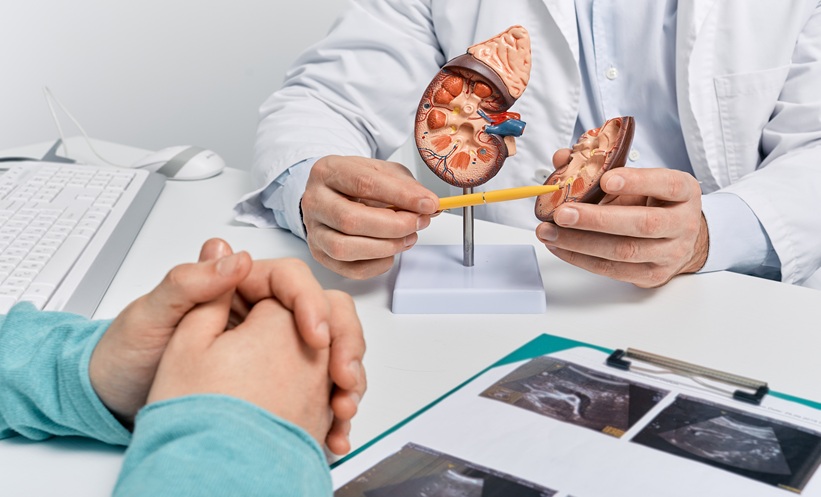 Sibeprenlimab Trial Shows Benefit in IgA Nephropathy - EMJ