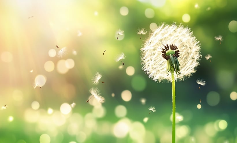 Artificial Intelligence Improves Seasonal Allergic Rhinitis Diagnosis