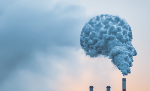 Air Pollution and Brain Health Study - EMJ