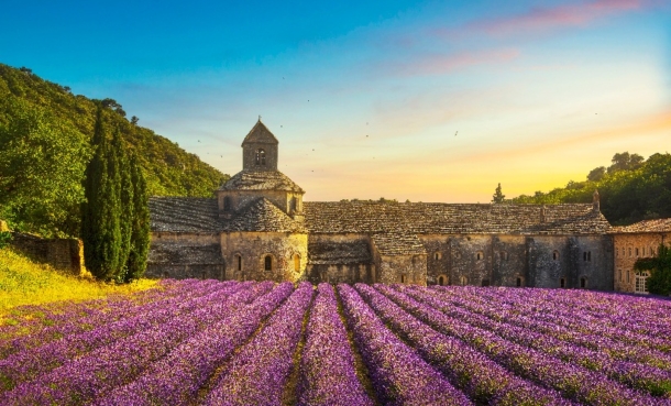 PrEP Uptake in France Slows HIV Prevention Progress - EMJ