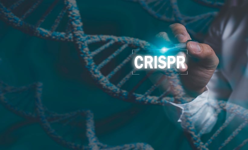 CRISPR Edited AML Transplant Shows Safe Engraftment