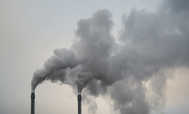 Particulate Matter Exposure May Raise Alopecia Areata Risk - EMJ