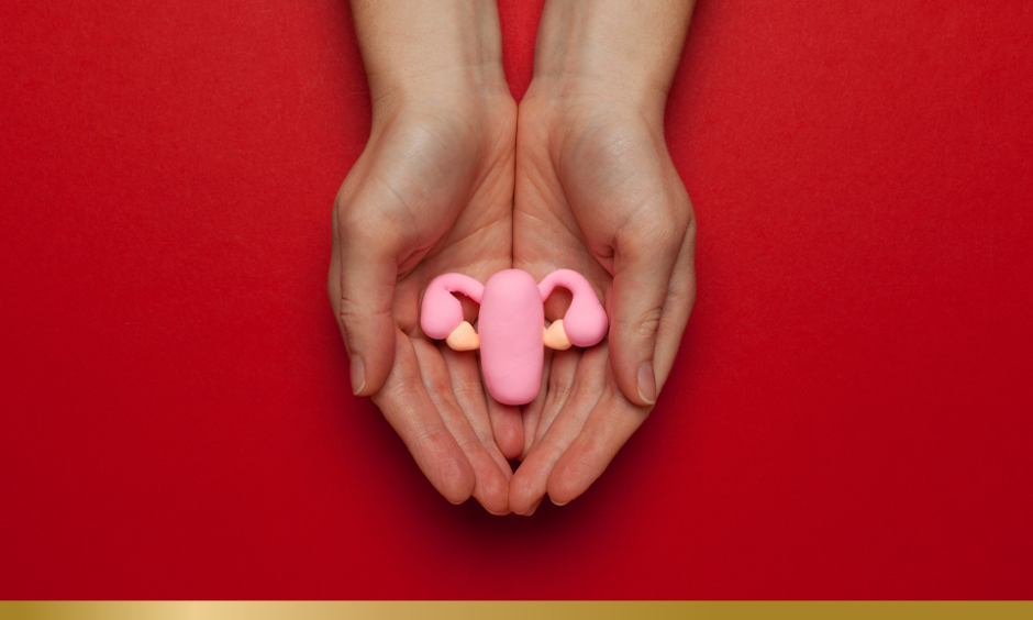Person holding a wax model of ovaries in their palms