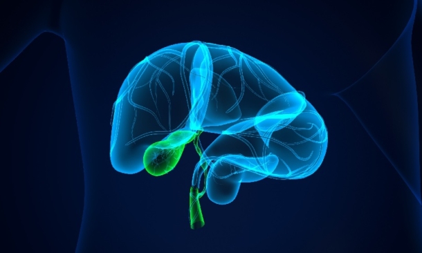 Could cfDNA Improve Gallbladder Cancer Diagnosis? - EMJ