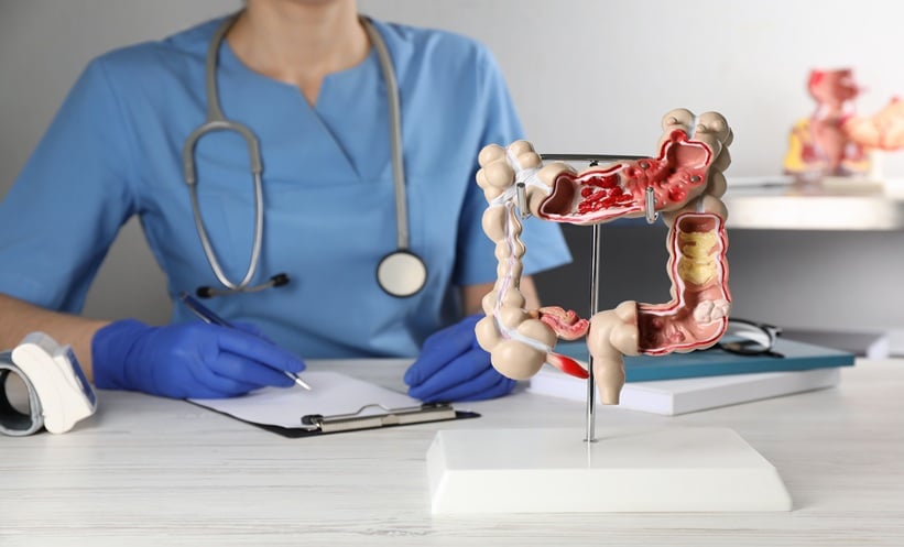 Gastroenterologist with human colon model at table in clinic, closeup
