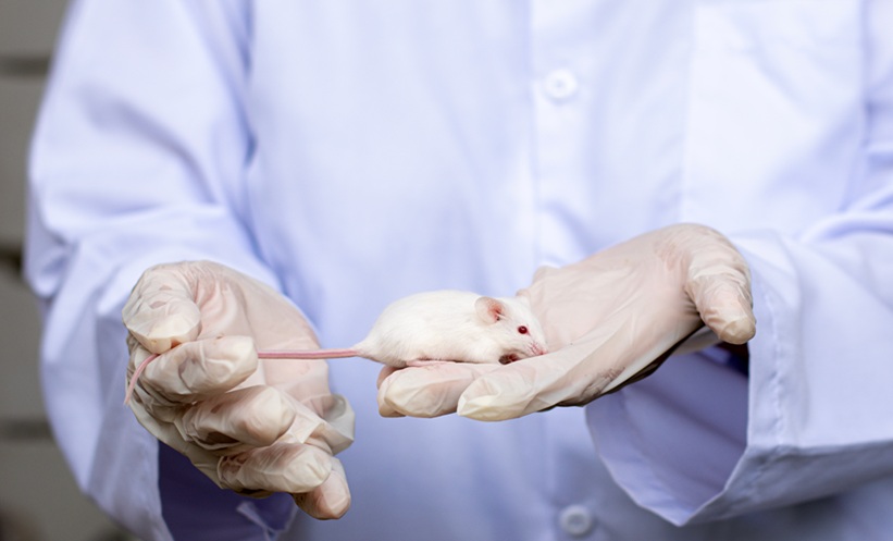 L-Tartaric Acid Benefits Diabetic Cardiomyopathy – EMJ