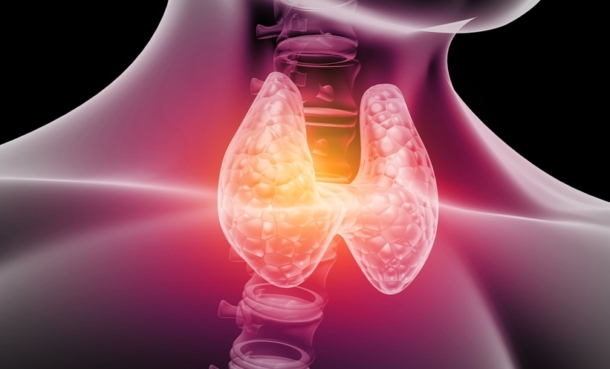Dabrafenib Plus Trametinib in Thyroid Cancer - EMJ