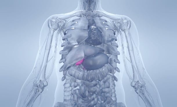 Adjuvant Capecitabine: Real-World Data in BTC - EMJ