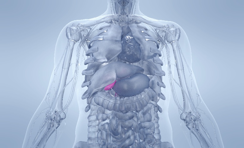 Adjuvant Capecitabine: Real-World Data in BTC - EMJ