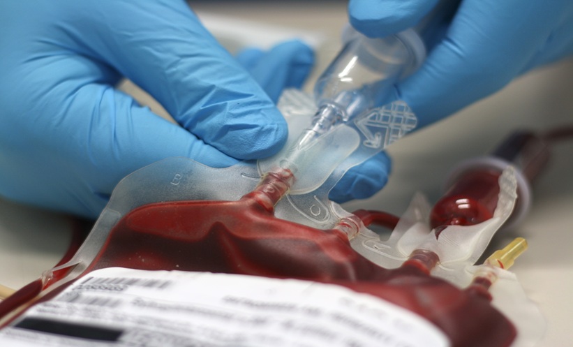 Gloved hands prepare blood transfusion.