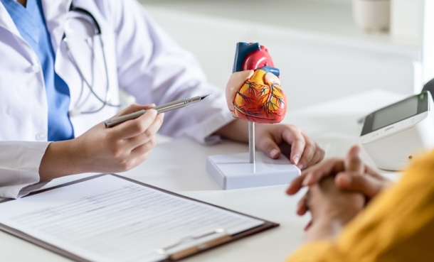 Doctor in white coat with stethoscope pointing to a model of a heart with a patient