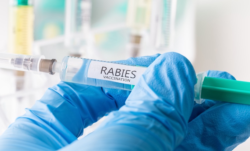 rabies infection vaccination