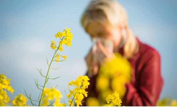 Person sneezing in field full of flowers with hay fever