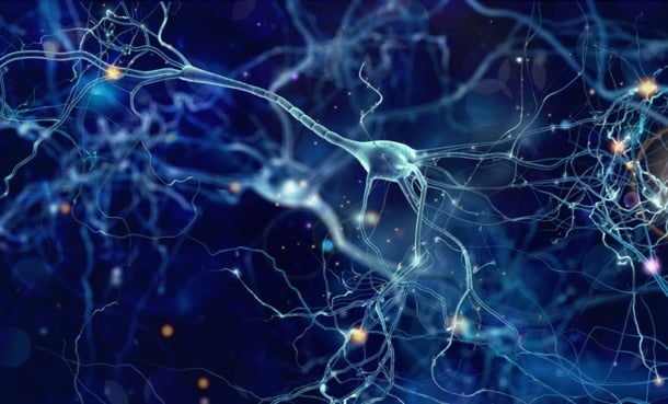 Gene Test Refines Blood-Based Cognitive Risk