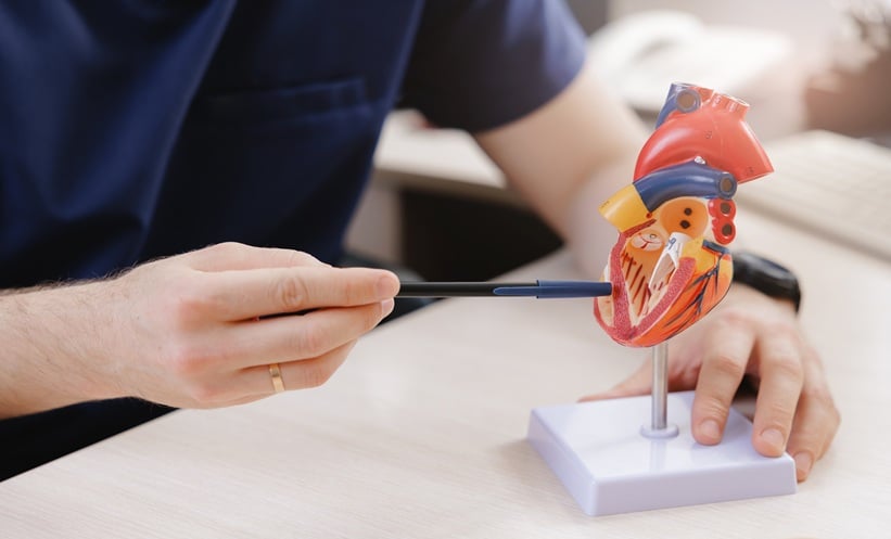 Model of an aortic heart valve representing infective endocarditis after TAVR