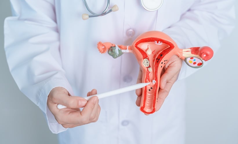 picture of vagina