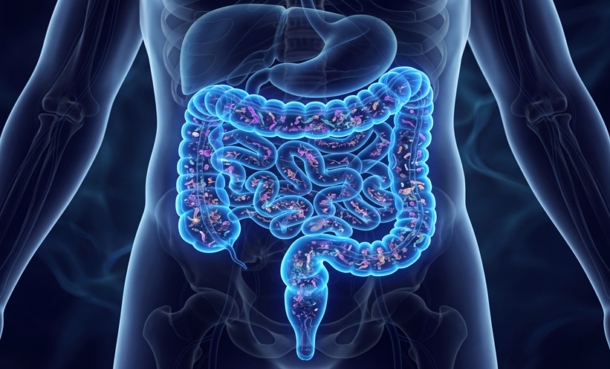 3D illustration of large intestine and gut microbiome.