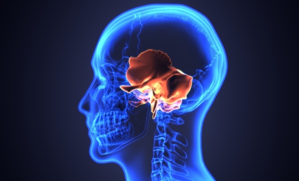 3d image of skull temporal bone